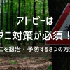 アトピーはダニ対策が必須です【ダニを退治・予防する8つの方法】